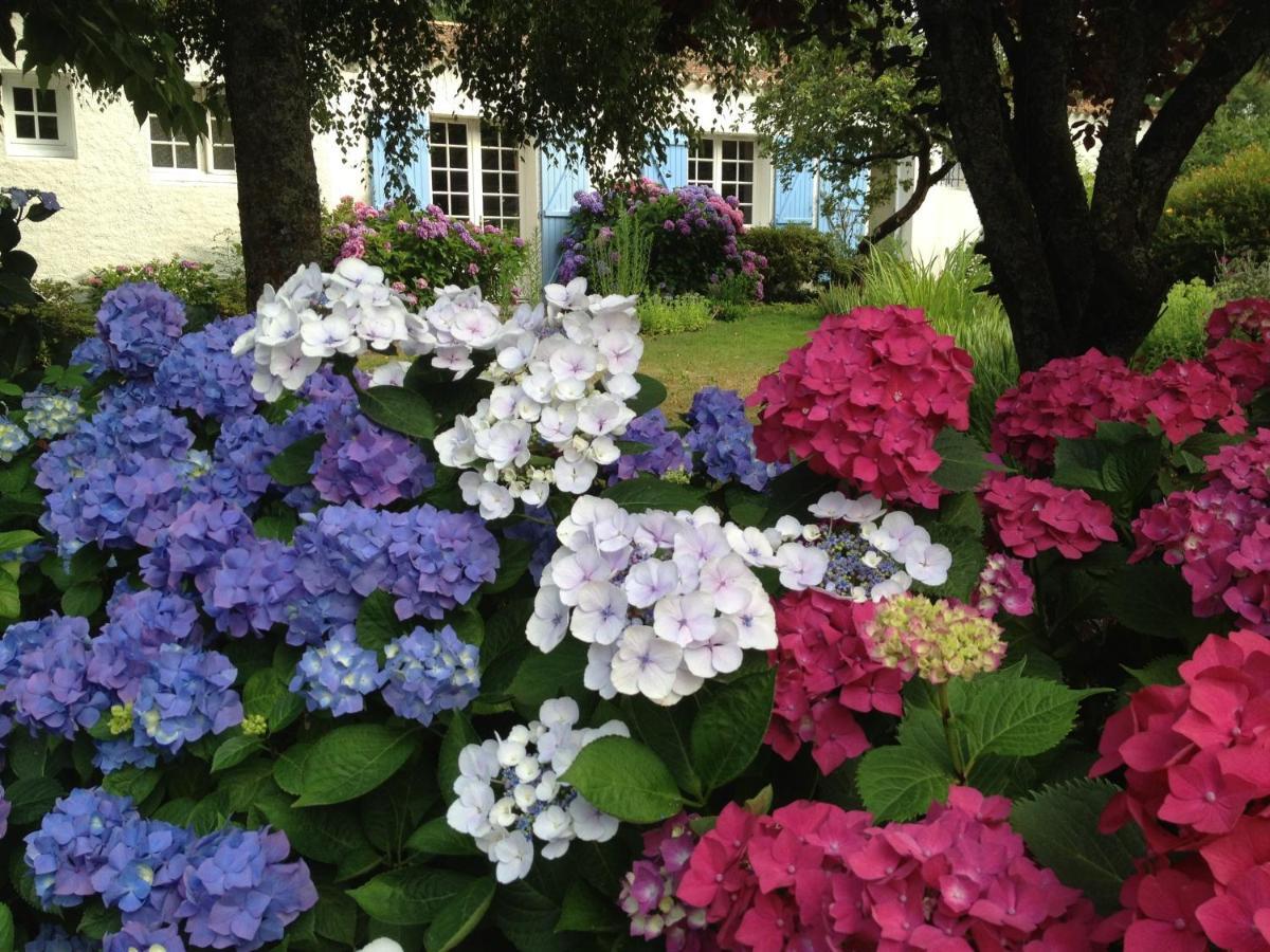 La Caillerie Bed & Breakfast Chauve Luaran gambar